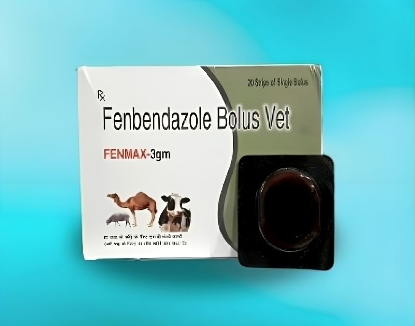 FENMAX BOLUS